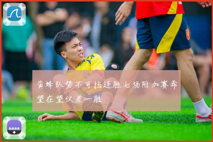 黄蜂队势不可挡连胜七场附加赛希望在望仅差一胜