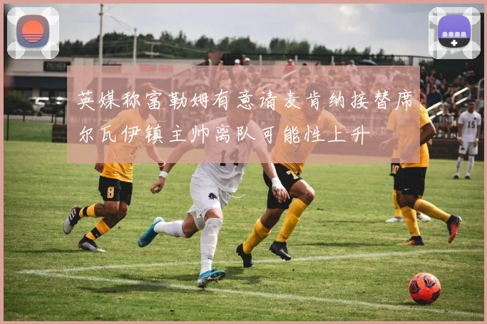 英媒称富勒姆有意请麦肯纳接替席尔瓦伊镇主帅离队可能性上升